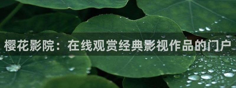 可可影视官网入口