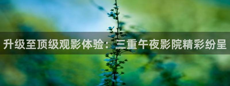 放羊的星星可可影视