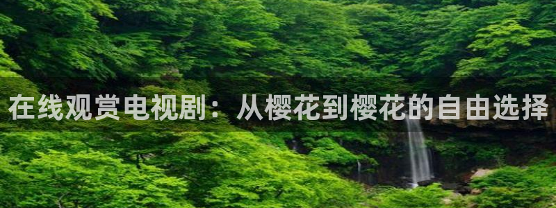 星空传媒影院在线观看