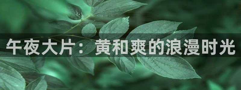 可可影视电视剧免费观看完整版高清在线