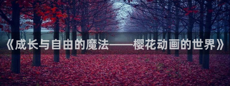 星空无痕mv在线播放免费观看