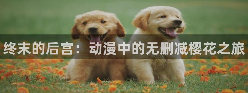 可可影视免费观看电