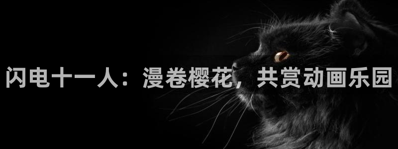 无限星空传媒在线观看