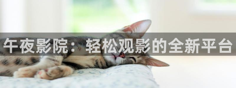 《无所畏惧2》免费观看可可影视