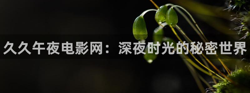 星空影城今日电影