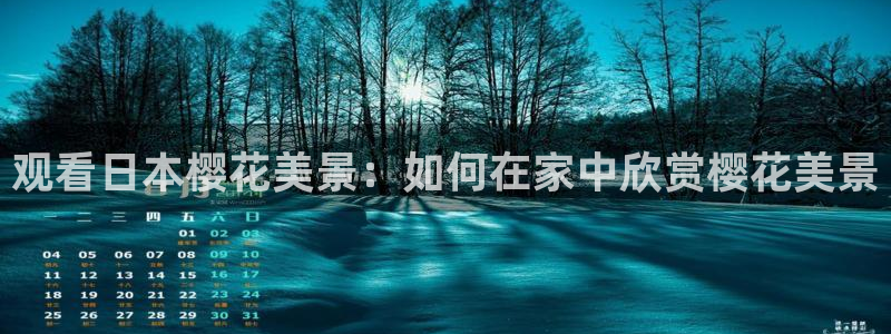 可可影视在线观看免费看电视剧