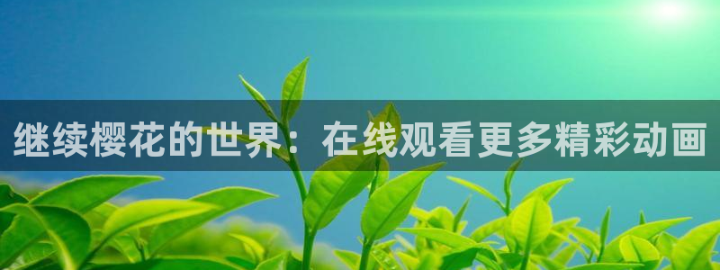 缘之空可可影视