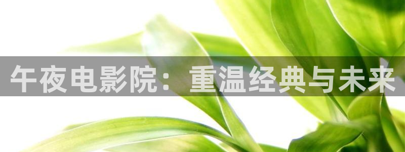 星空影视在线观看全集免费高清