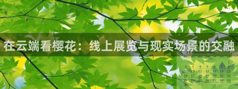 可可影视在线观看高清电影电视剧