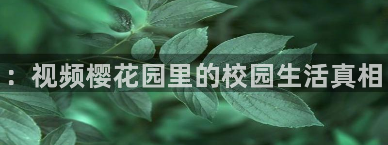 关于星空的照片