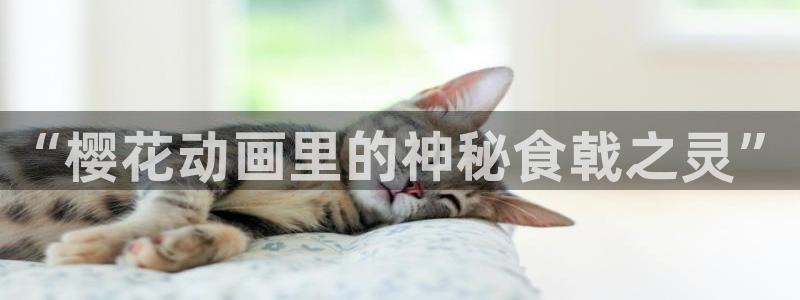 星空传媒影视mv